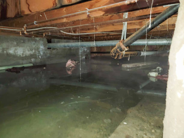 Best 24-hour water damage restoration  in Cass City, MI