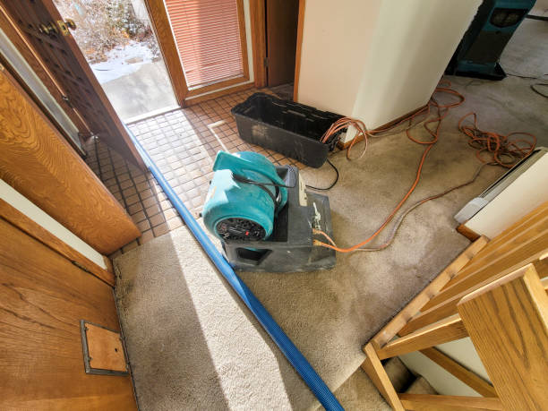Best Water damage restoration near me  in Cass City, MI
