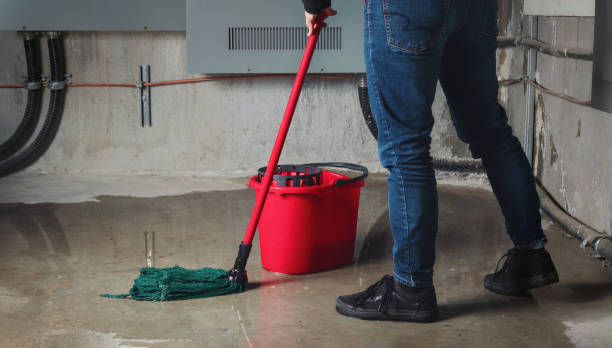 Best Flood restoration services  in Cass City, MI