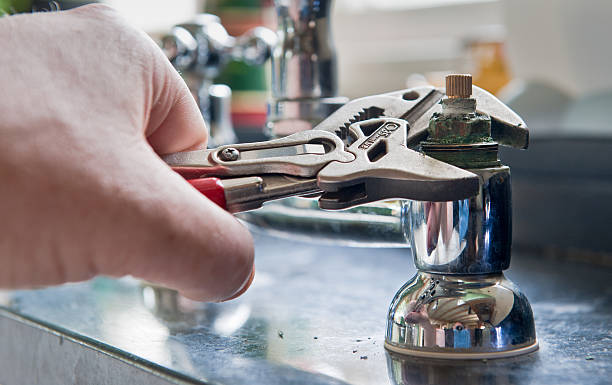 Best Water damage contractors near me  in Cass City, MI