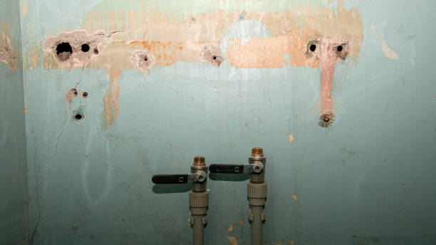 Water damage restoration insurance claims in MI