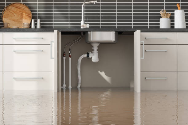 Best Flood damage cleanup  in Cass City, MI